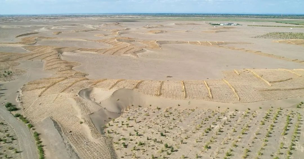 Phát minh chưa từng có trên thế giới của Trung Quốc: Không cần trồng cây vẫn phục hồi hàng nghìn hecta sa mạc, hiệu quả cao nhưng chi phí thấp