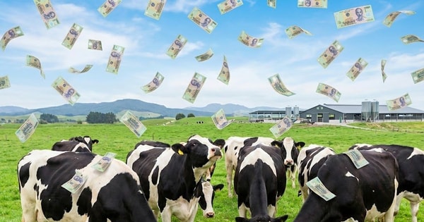 Một đại gia sữa chốt quyền chia cổ tức 25%, tiền về tài khoản ngay sát Tết