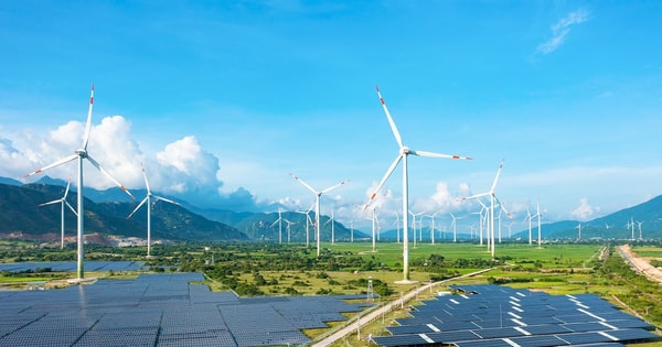 Trung Nam báo tin vui