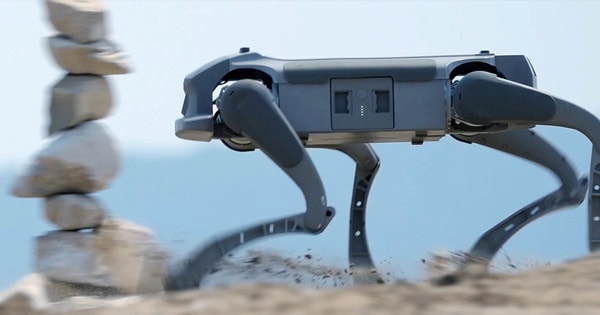 Hãng robot Mỹ chọn TP.HCM làm cứ điểm sản xuất chó máy toàn cầu