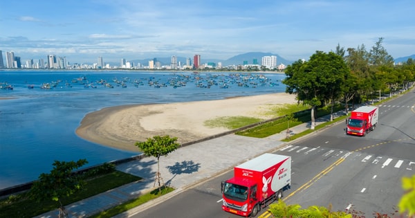 Hành trình thầm lặng phía sau mỗi tổ yến