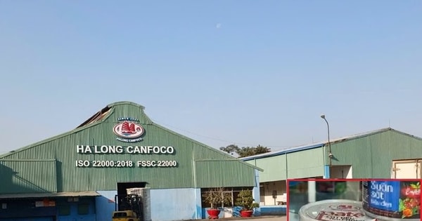 Nóng: Bắt khẩn cấp Tổng Giám đốc Đồ hộp Hạ Long