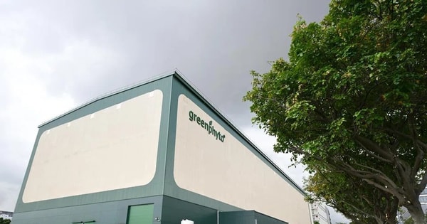 'Chung cư trồng rau' cao nhất thế giới ngay gần Việt Nam: rộng 2ha, công suất 2.000 tấn rau/năm, vận hành chỉn chu ngang nhà máy công nghệ cao