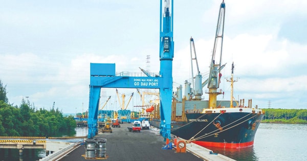 Công ty cảng biển 6.000 tỷ báo lãi kỷ lục, EPS 7.350 đồng, tiền mặt chiếm 50% tài sản