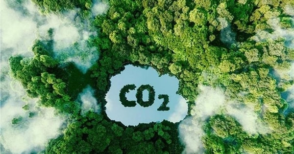 Vingroup tham vọng "biến khói bụi thành tiền": Cuộc chơi triệu USD từ tín chỉ carbon