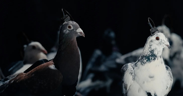 Tất cả đều xôn xao bàn luận công nghệ mới của Nga: Kẻ tin người ngờ nhưng phải công nhận là "giỏi nhưng sợ"