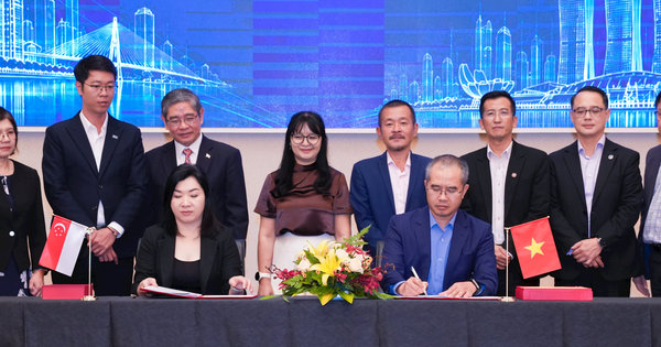 Tổ chức kế toán quốc gia Singapore có hơn 46.000 hội viên hợp tác đào tạo thành viên HĐQT cho doanh nghiệp Việt
